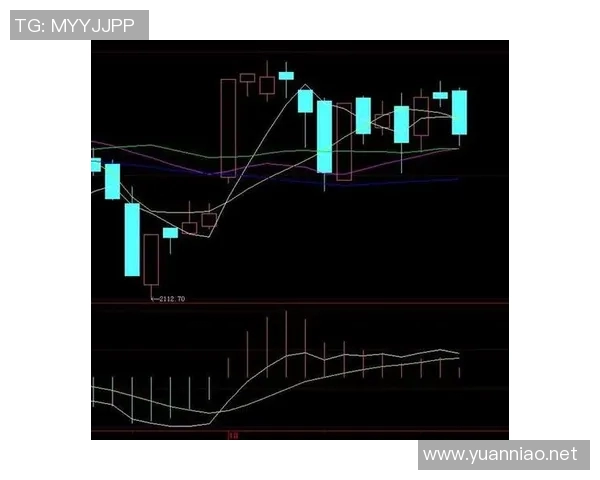 深入分析上海滑板队的防守策略与战术特点