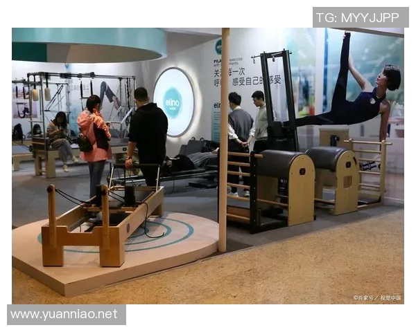 深圳大型健身器材：深圳市场上大型健身器材品牌与产品