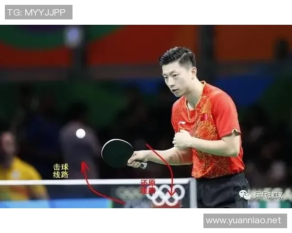 乒乓球运动员成长历程与技术突破的探索与启示